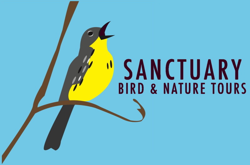 Sanctuary Birding and Nature Tours